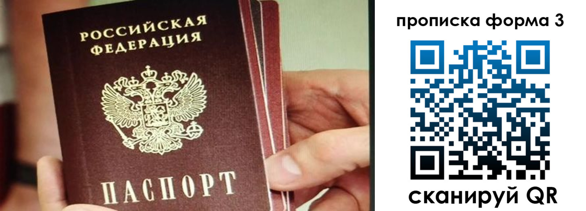 прописка законно в Коряжме